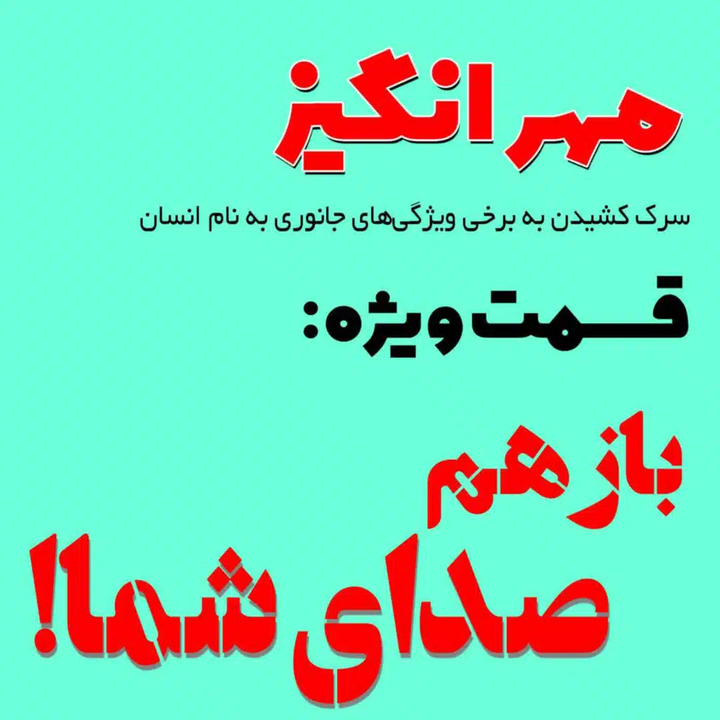 قسمت ویژه: باز هم صدای شما!