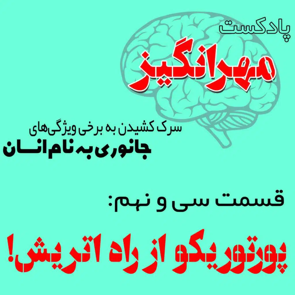 قسمت سی و نهم: پورتوریکو از راه اتریش!