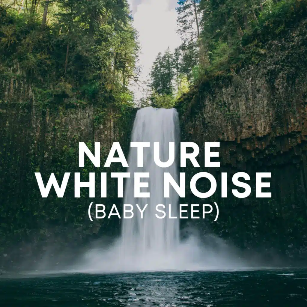 White Noise for Quiet
