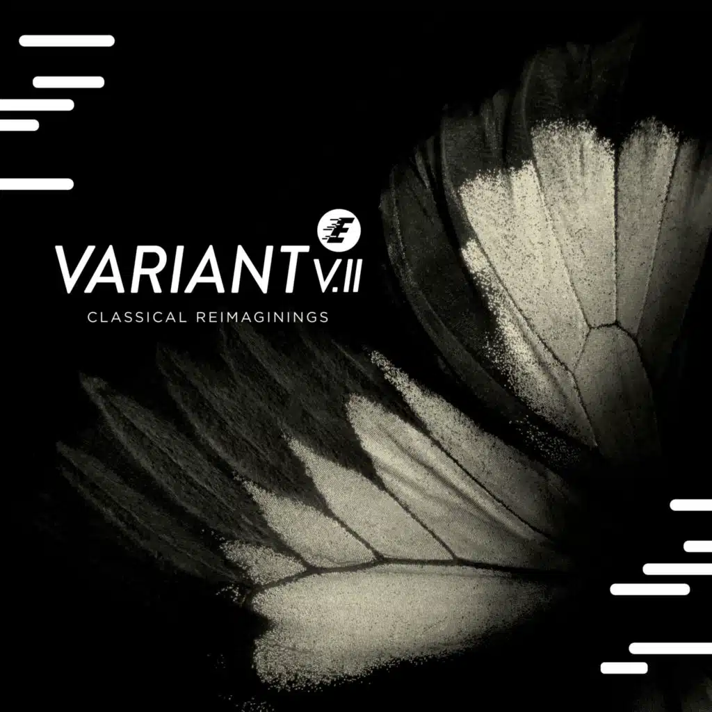 ARKIVAL & Jessica Jarvis