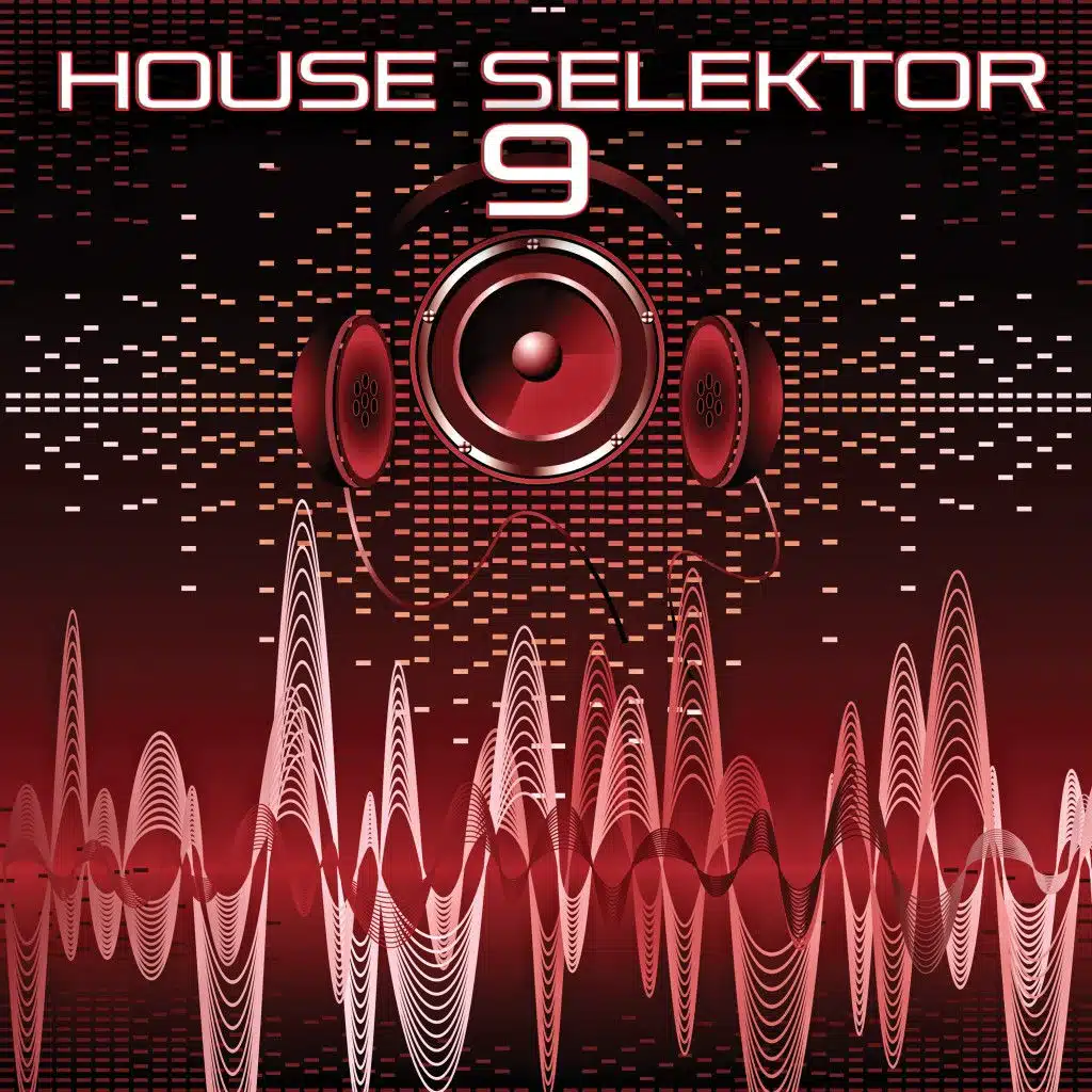 House Selektor, Vol. 9