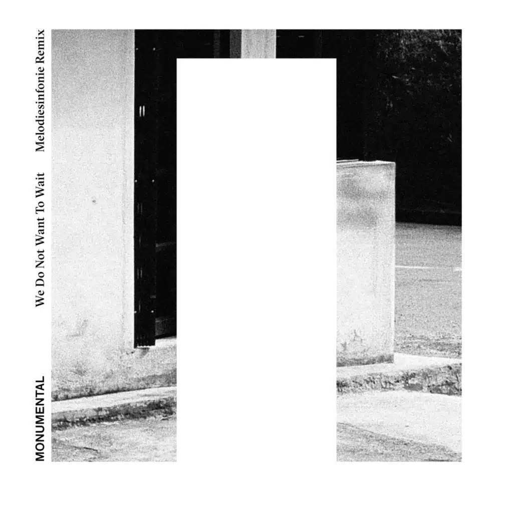 We Do Not Want to Wait (Melodiesinfonie Remix)