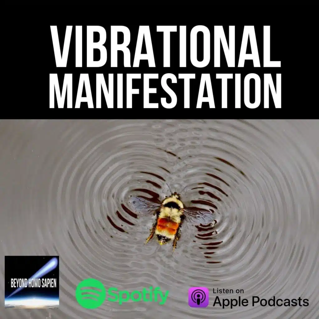 Vibrational Manifestation - Why Does Changing Your Vibration Work?