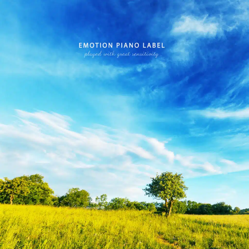 A relaxing calm piano collection to relieve stress