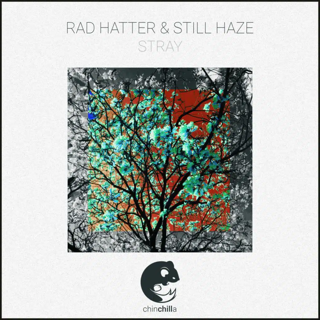 Rad Hatter & Still Haze