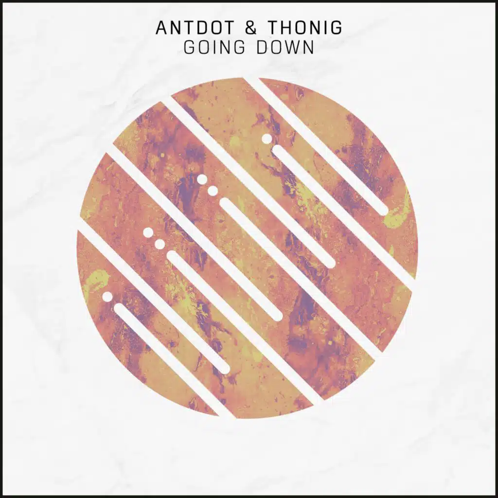 Antdot & THONIG