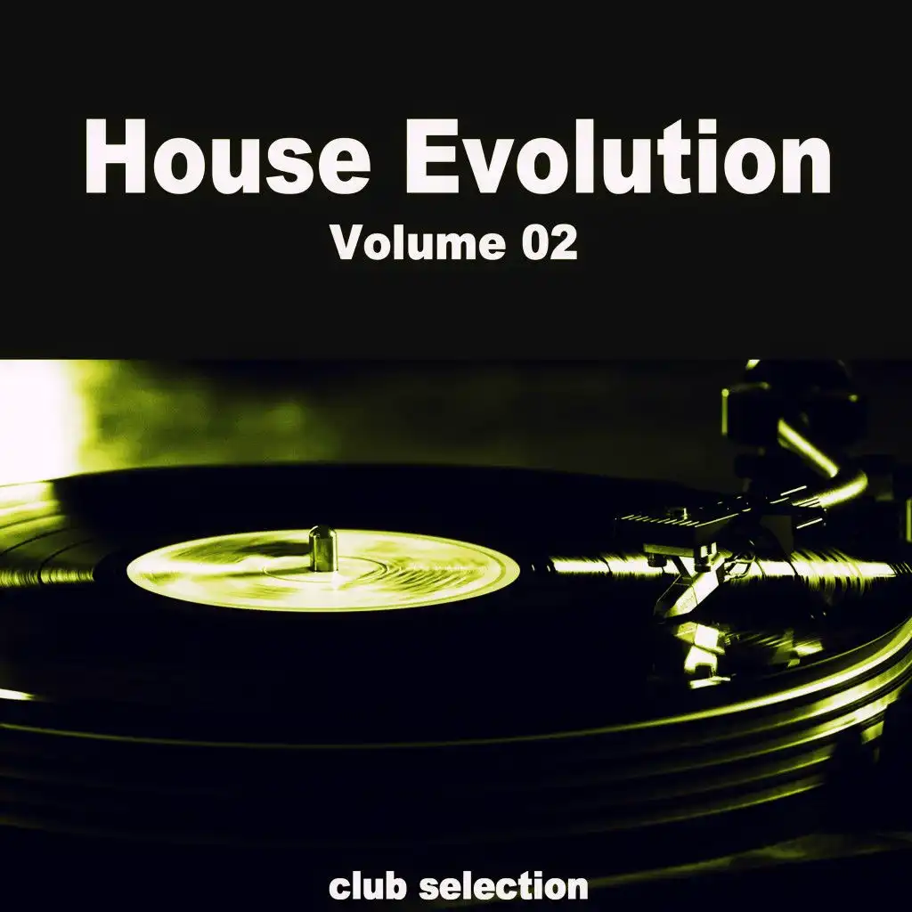 House Evolution, Vol. 2