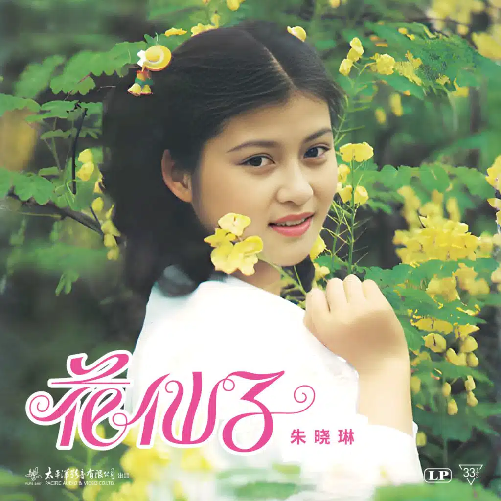 万水千山总是情