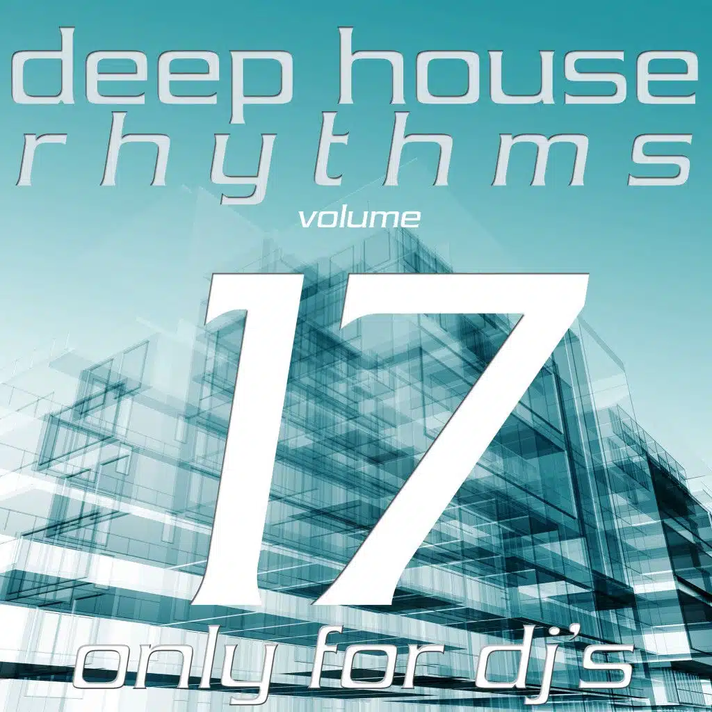 Deep House Rhythms, Vol. 17