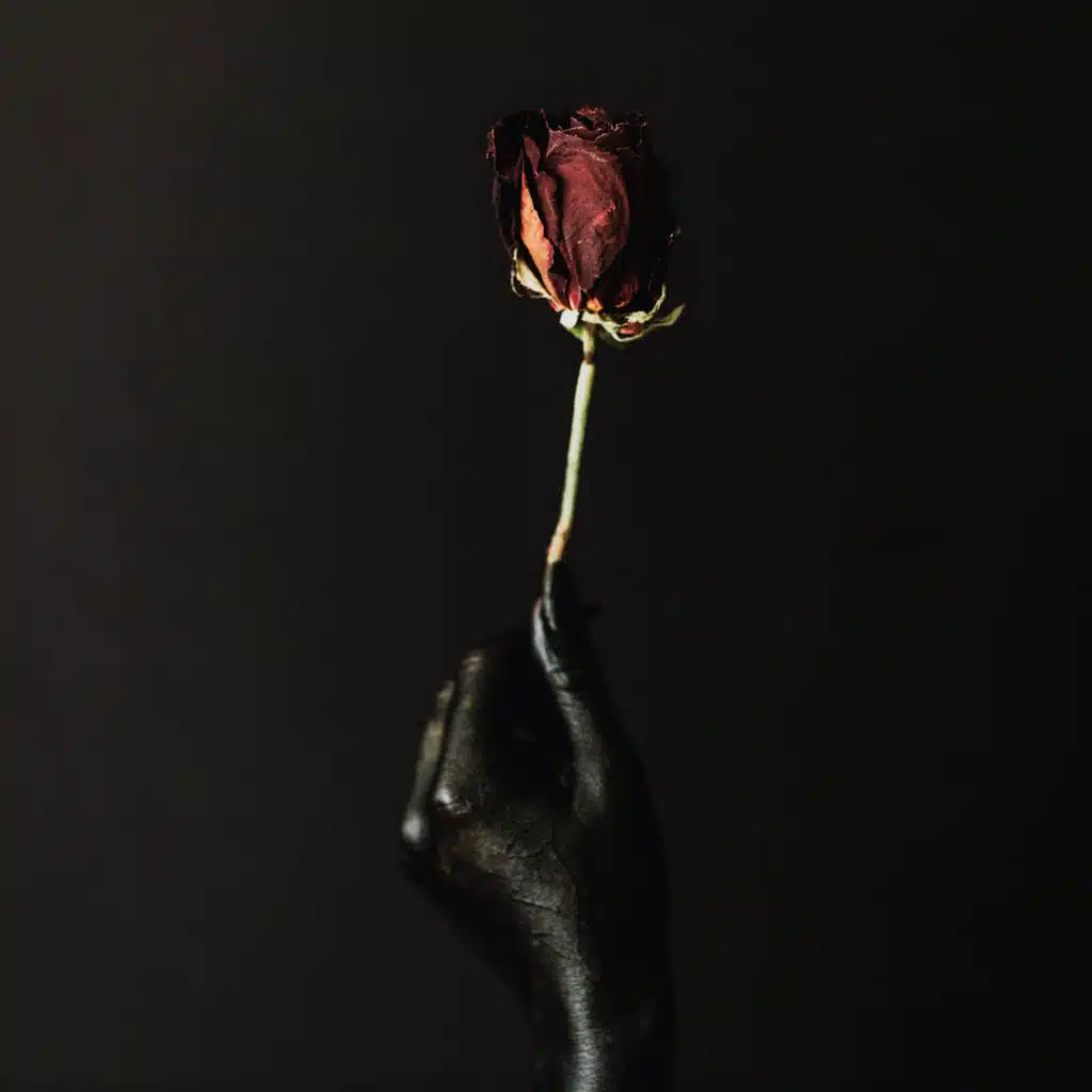 Perfect Celebrity (Piano Version)