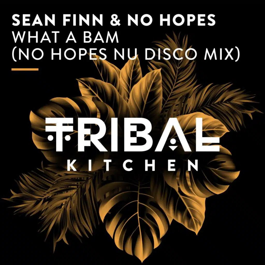 Sean Finn & No Hopes