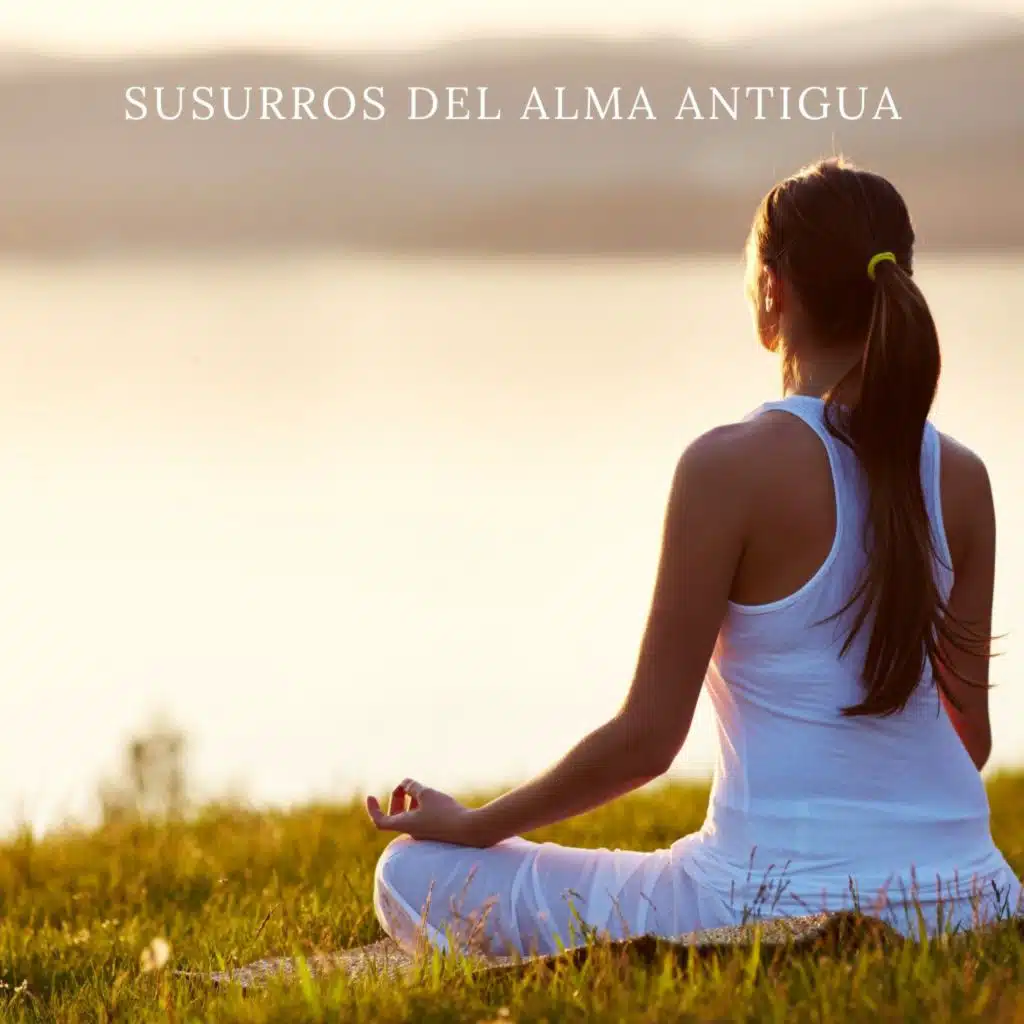 Musica para Meditar, Música de Meditación & Meditacion