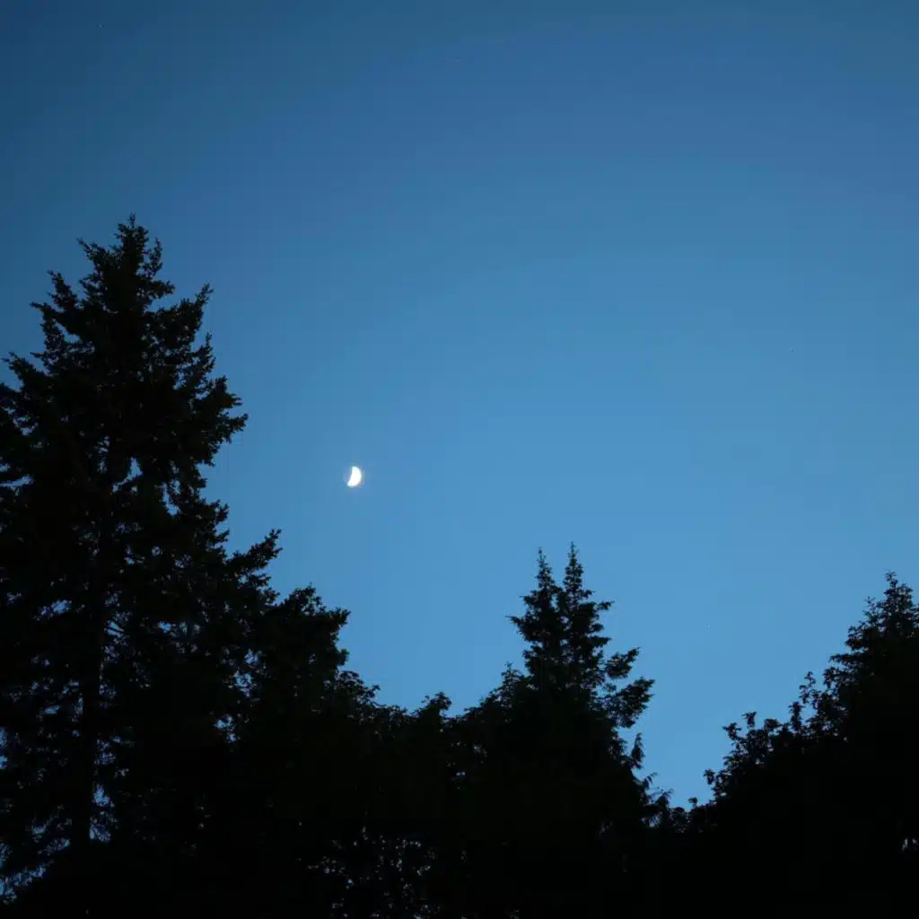 Purpose (Instrumental)