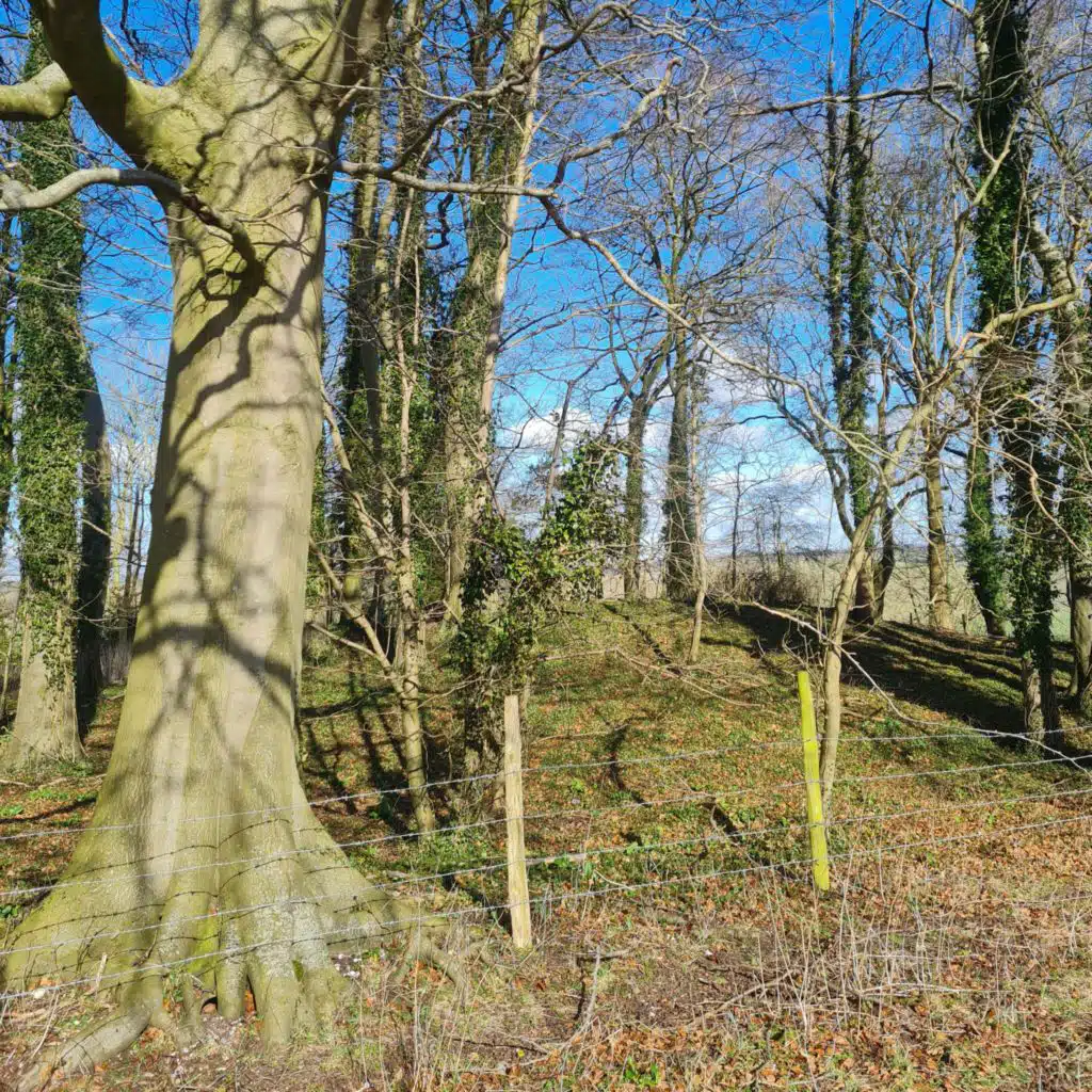 Sound Escape 213. The atmosphere of the Giant's Grave, an ancient burial mound in Wiltshire