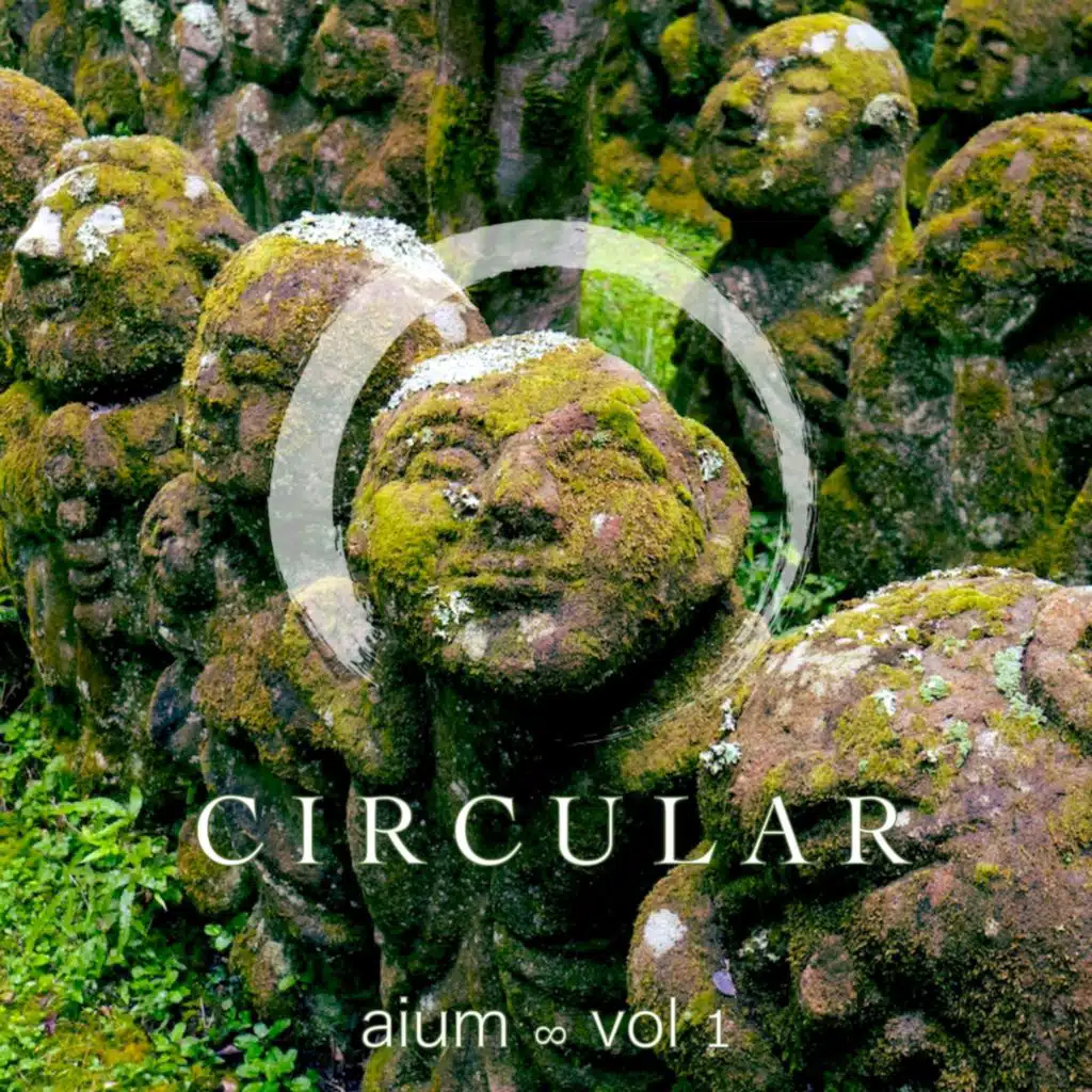 Aium Vol. I