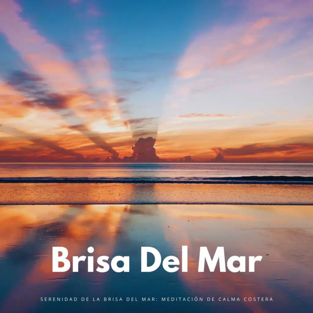 Viaje De Meditación Con La Brisa Marina