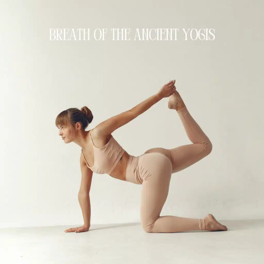 Yin Yoga Music Collection, Yoga Music for Yoga Class & Kundalini