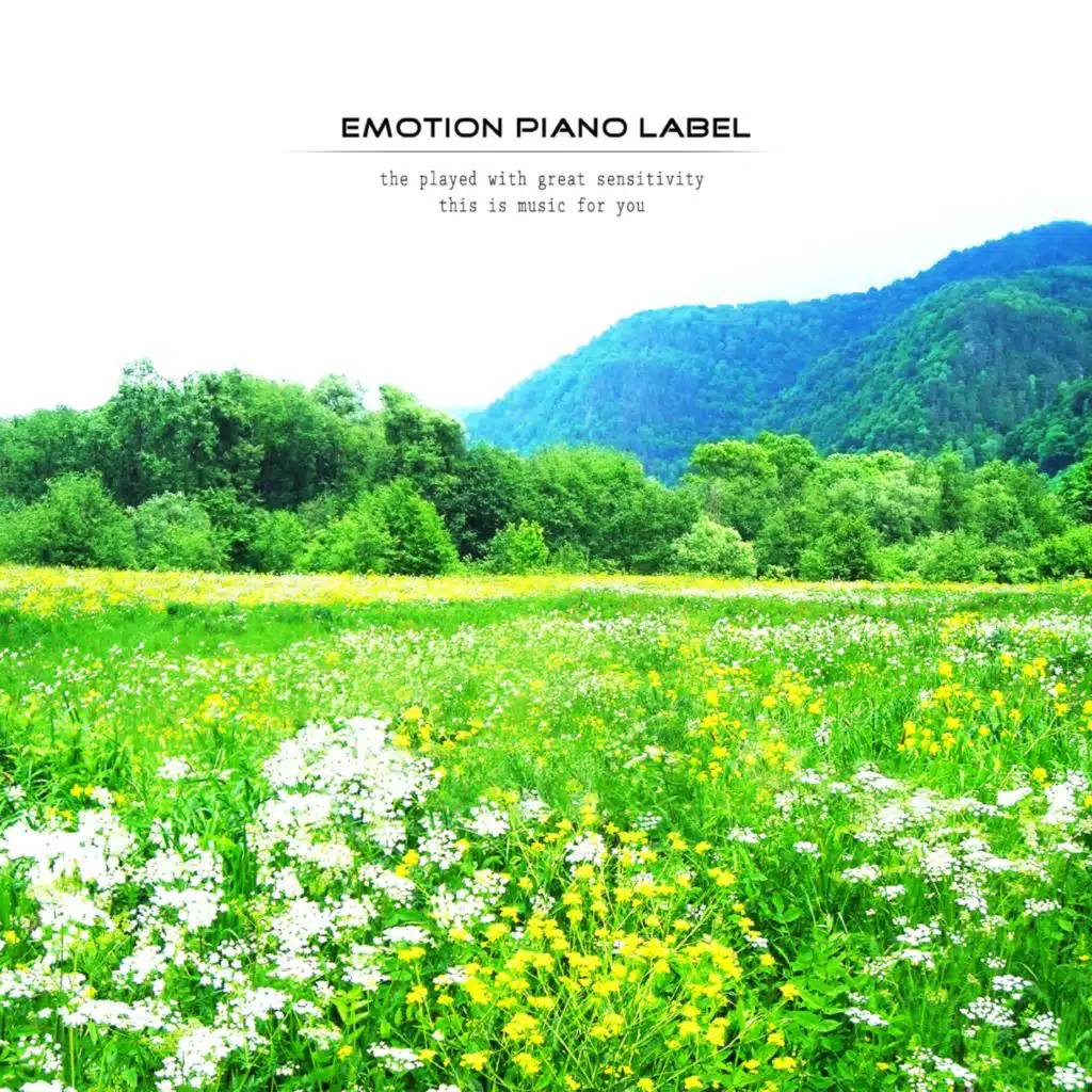 Warm scent piano for preaching