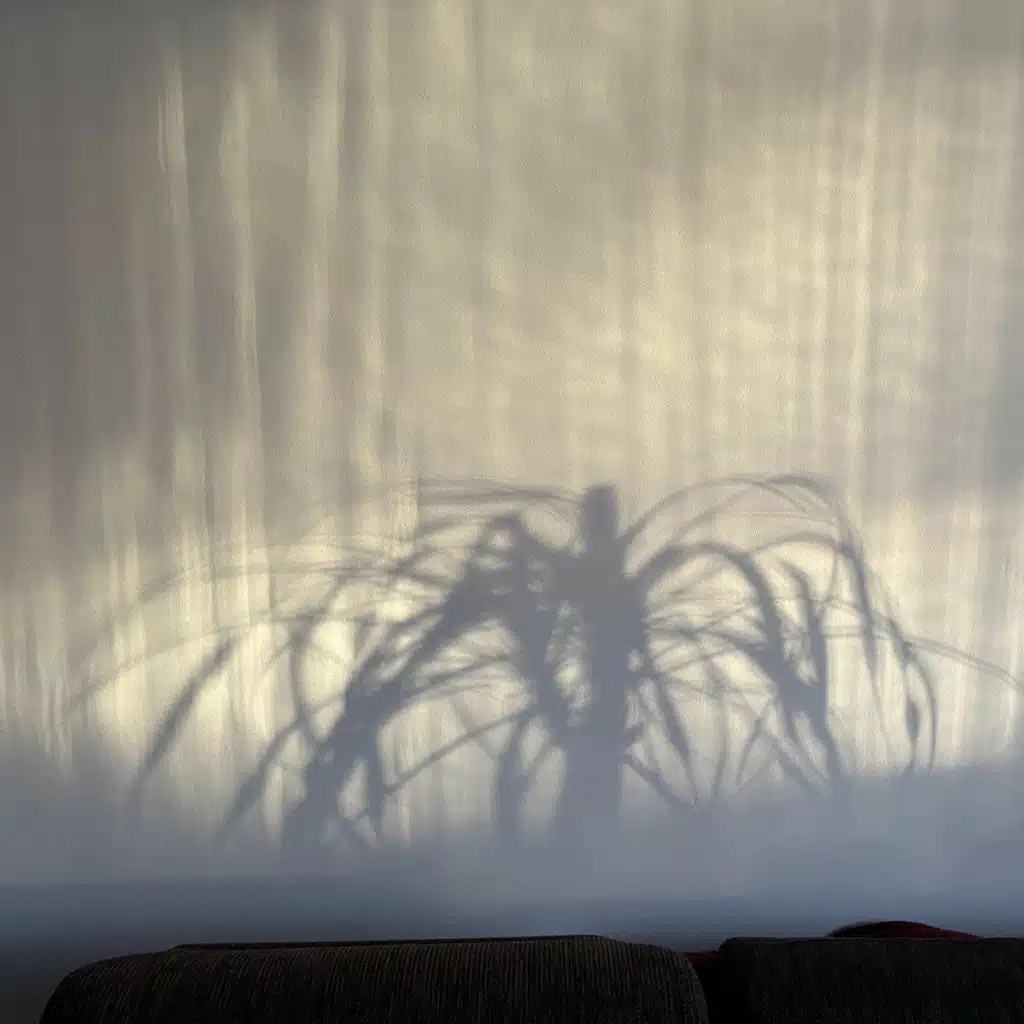 In The Middle Of Nowhere