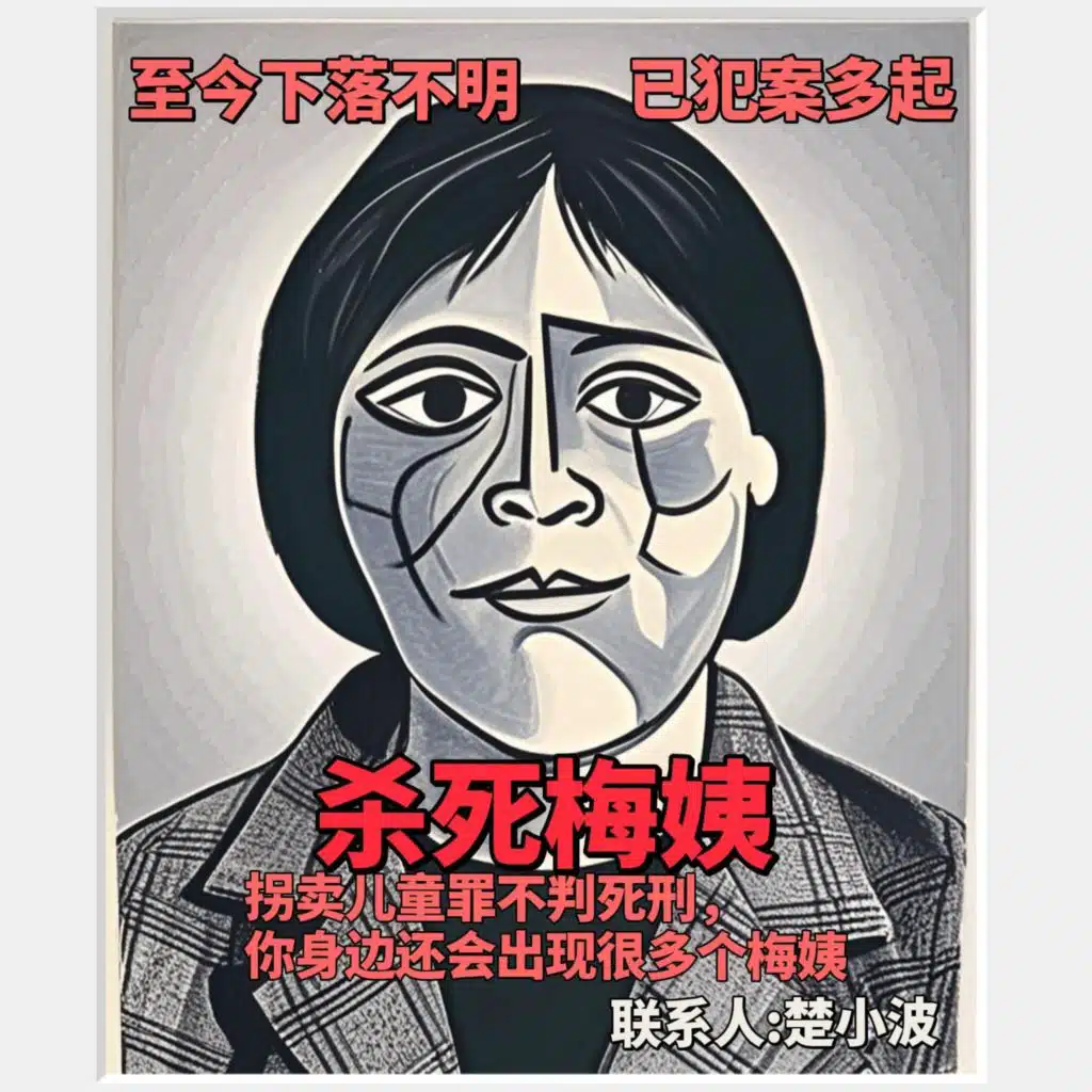 杀死梅姨
