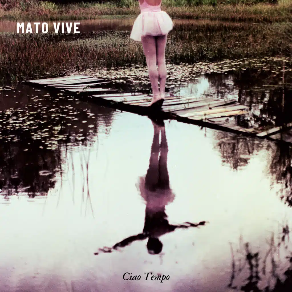 MATO VIVE