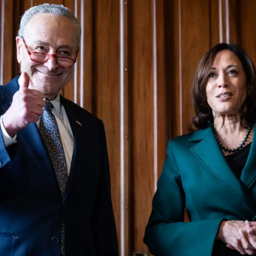 Whither the Democrats? w/ Natasha Lennard