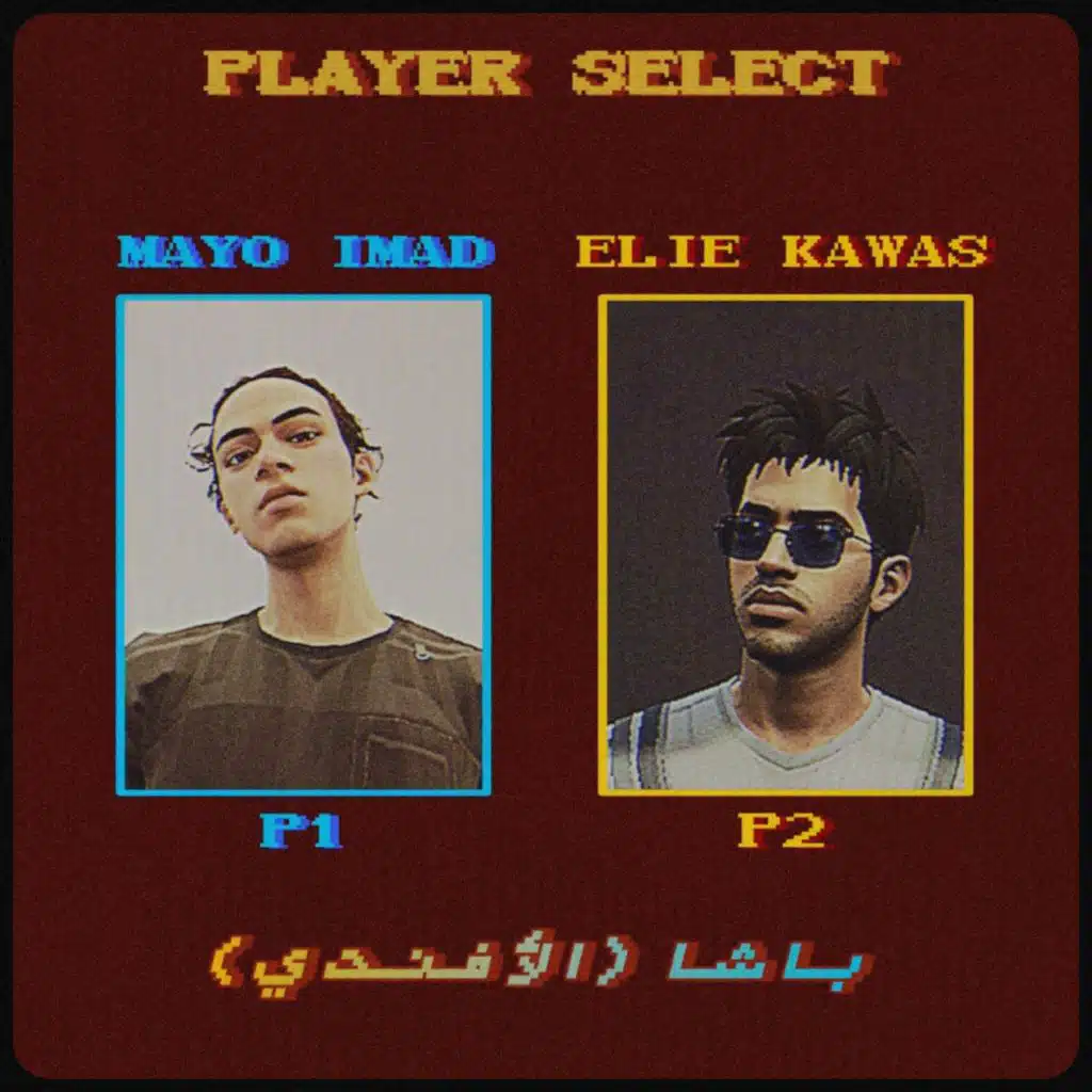 باشا (الأفندي)