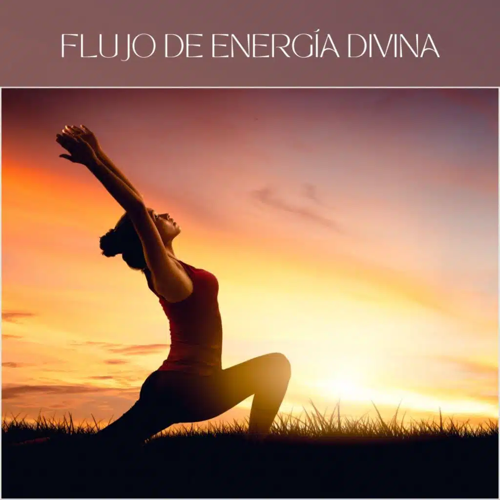 Academica de Música de Yoga Pilates & Música de Yoga Relaxamento