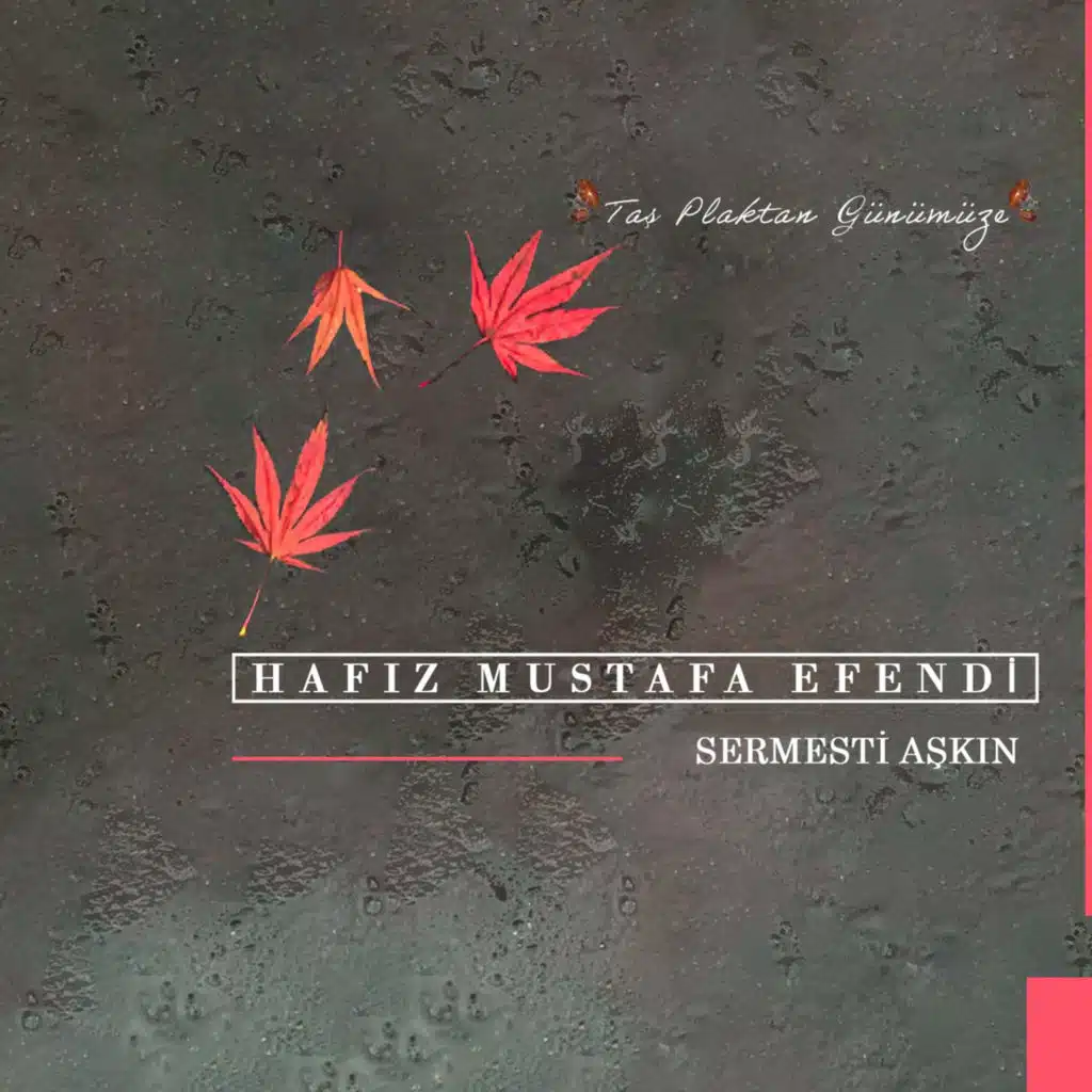 Hafiz Mustafa Efendi