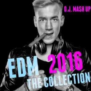 EDM 2016: The Collection