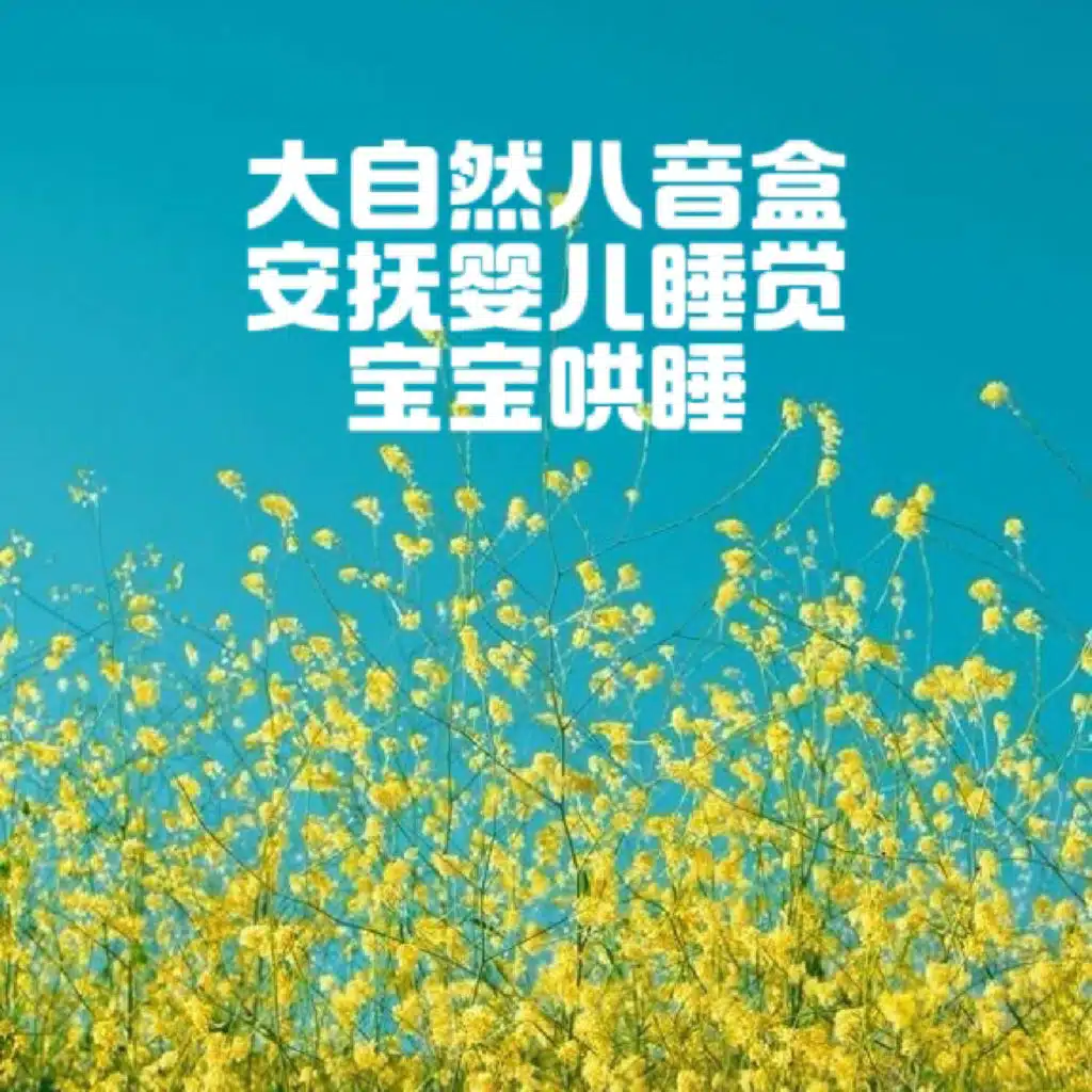 NO.6 婴儿安抚 海浪 吉他曲