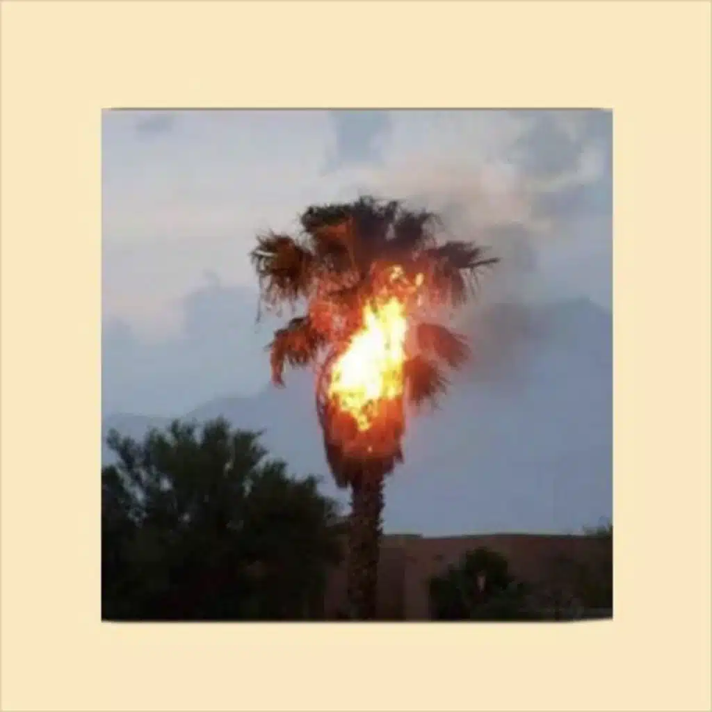 Worldstar Money (Edit)