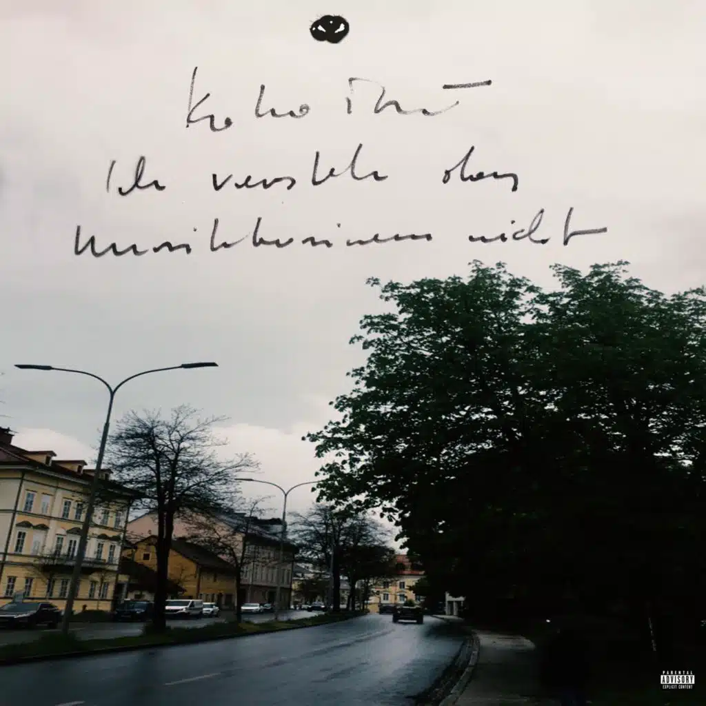 Ich versteh das Musikbusiness nicht