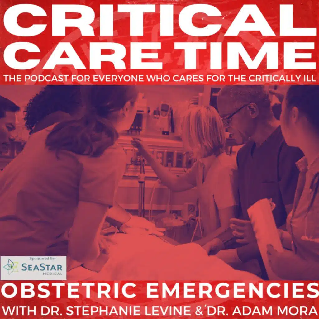 45. Obstetric Emergencies with Dr. Stephanie Levine and Dr. Adam Mora