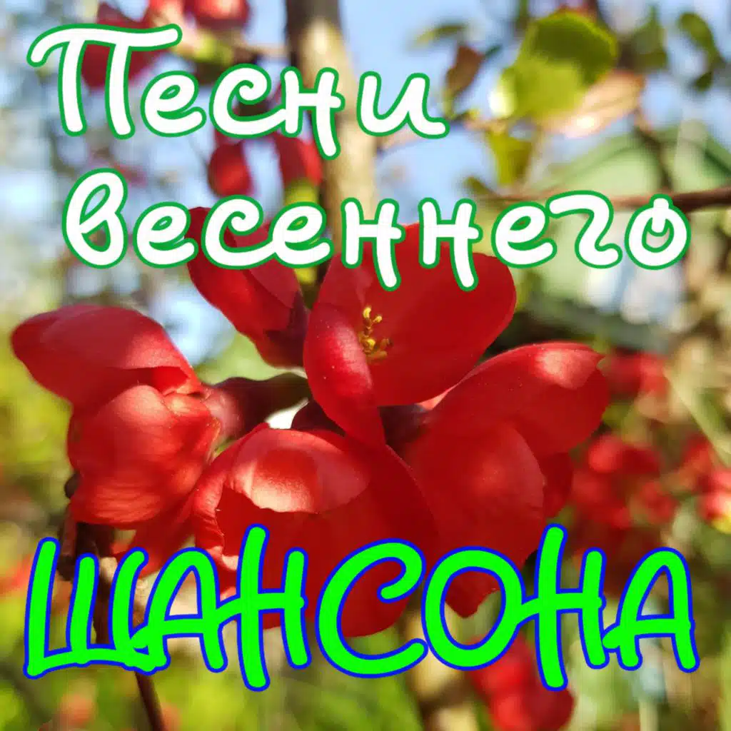 Песни весеннего шансона