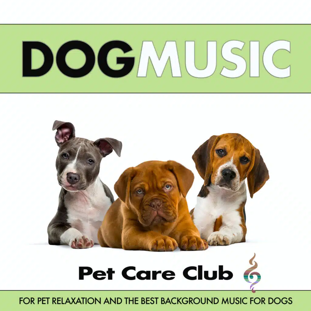 Dog Music For Pet Relaxation and The Best Music For Dogs