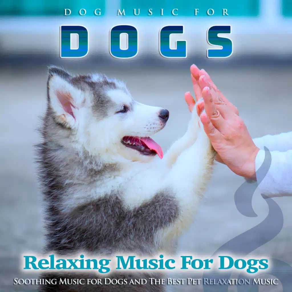 Dog Music For Dogs: Soothing Music for Dogs and The Best Pet Relaxation Music