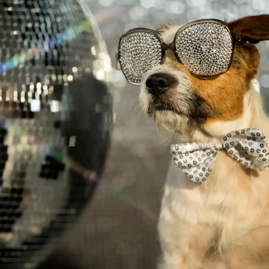 Music For Pet Joy: Wagging Whispers