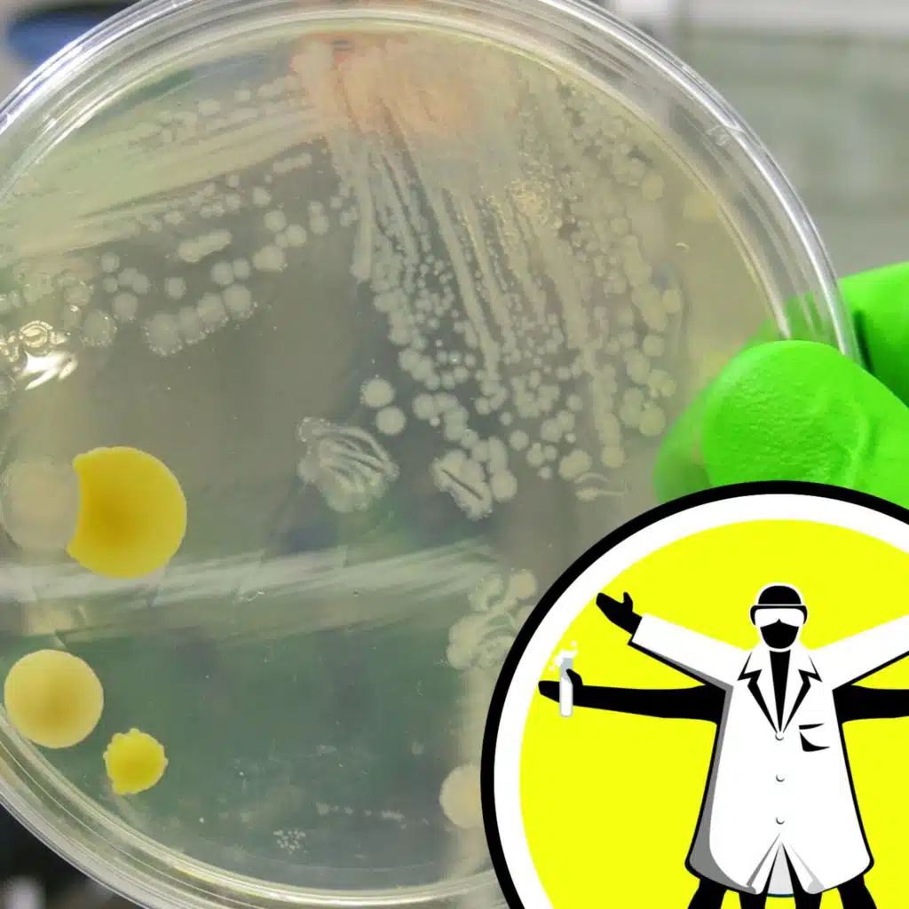 AMR unleashed: the silent pandemic