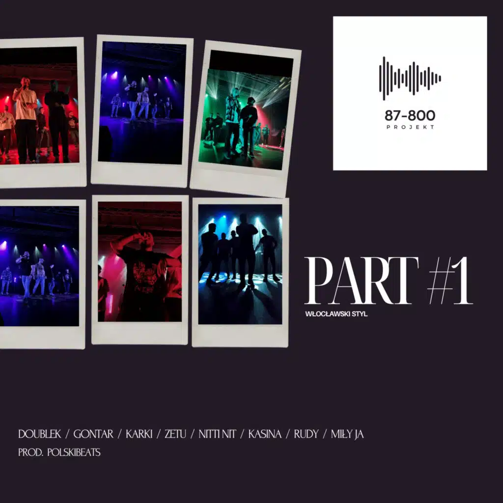 87-800 projekt. part1