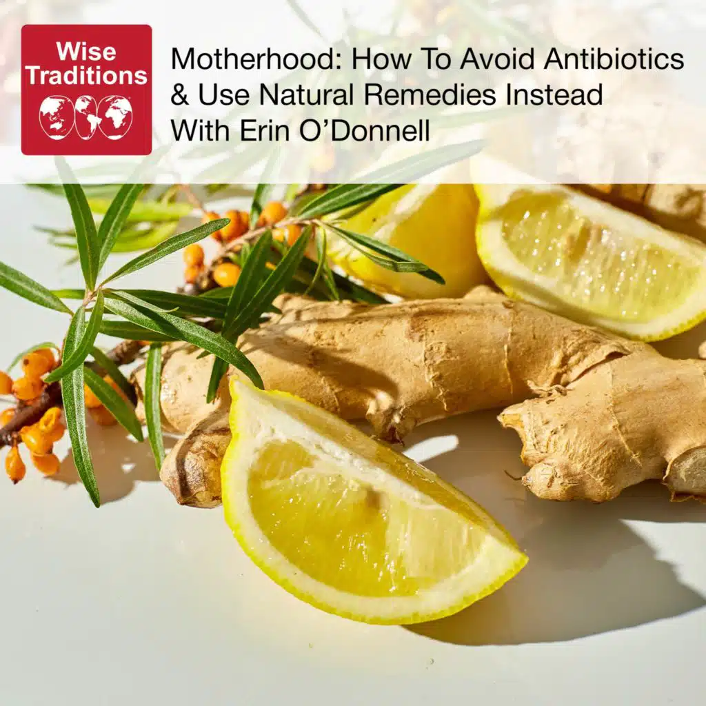 504: Motherhood: How To Avoid Antibiotics & Use Natural Remedies Instead With Erin O'Donnell