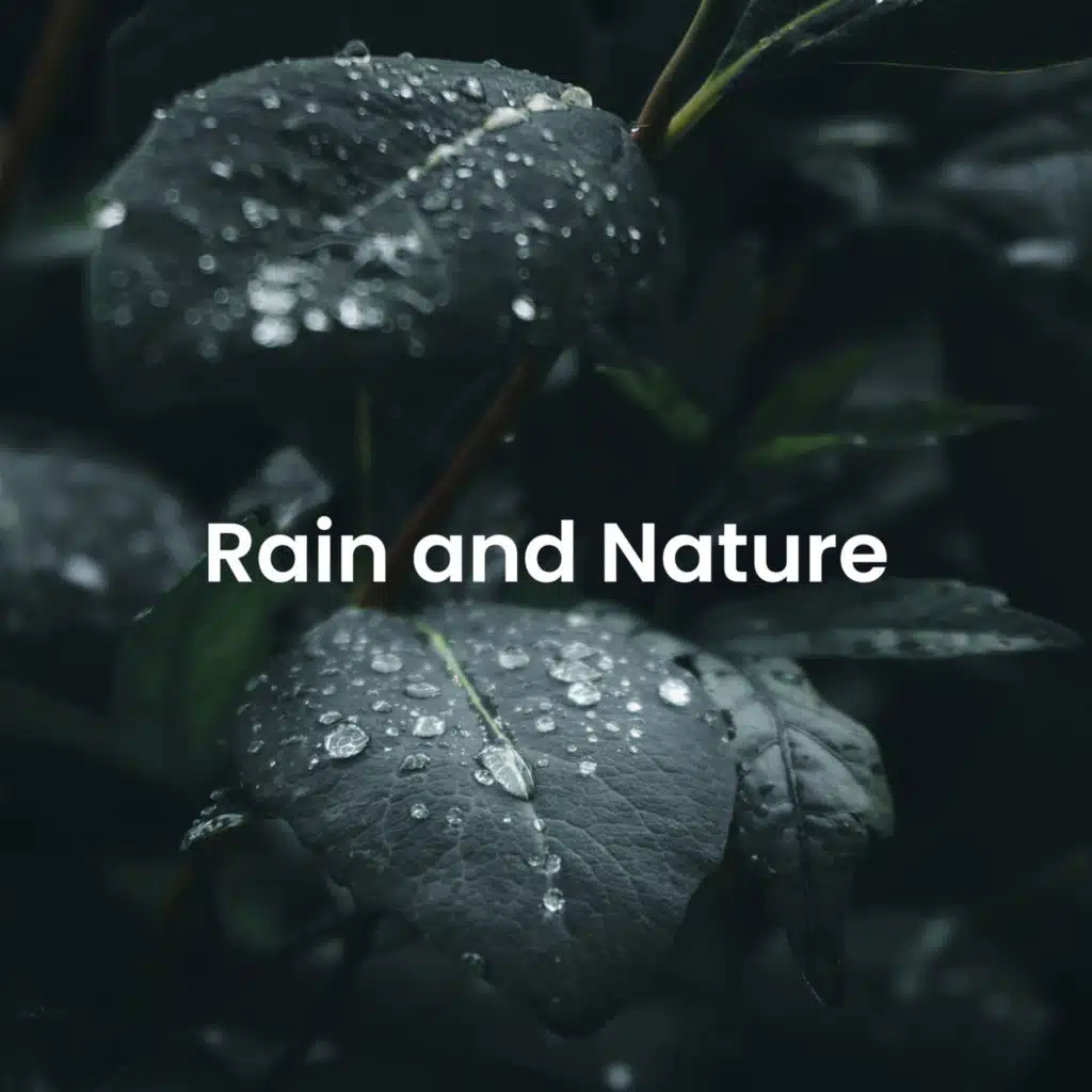 Echoes of Nature in the Rolling Hills