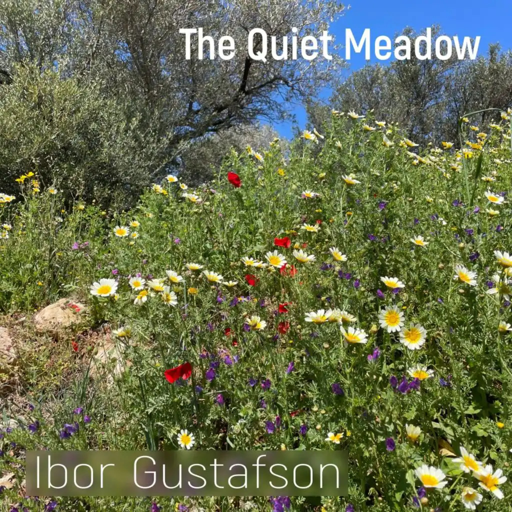 The Quiet Meadow
