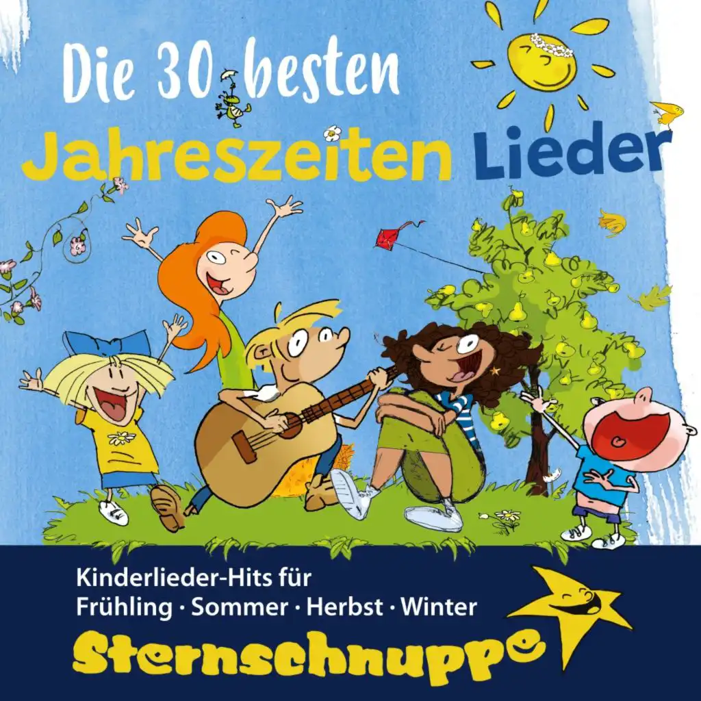 Sternschnuppe