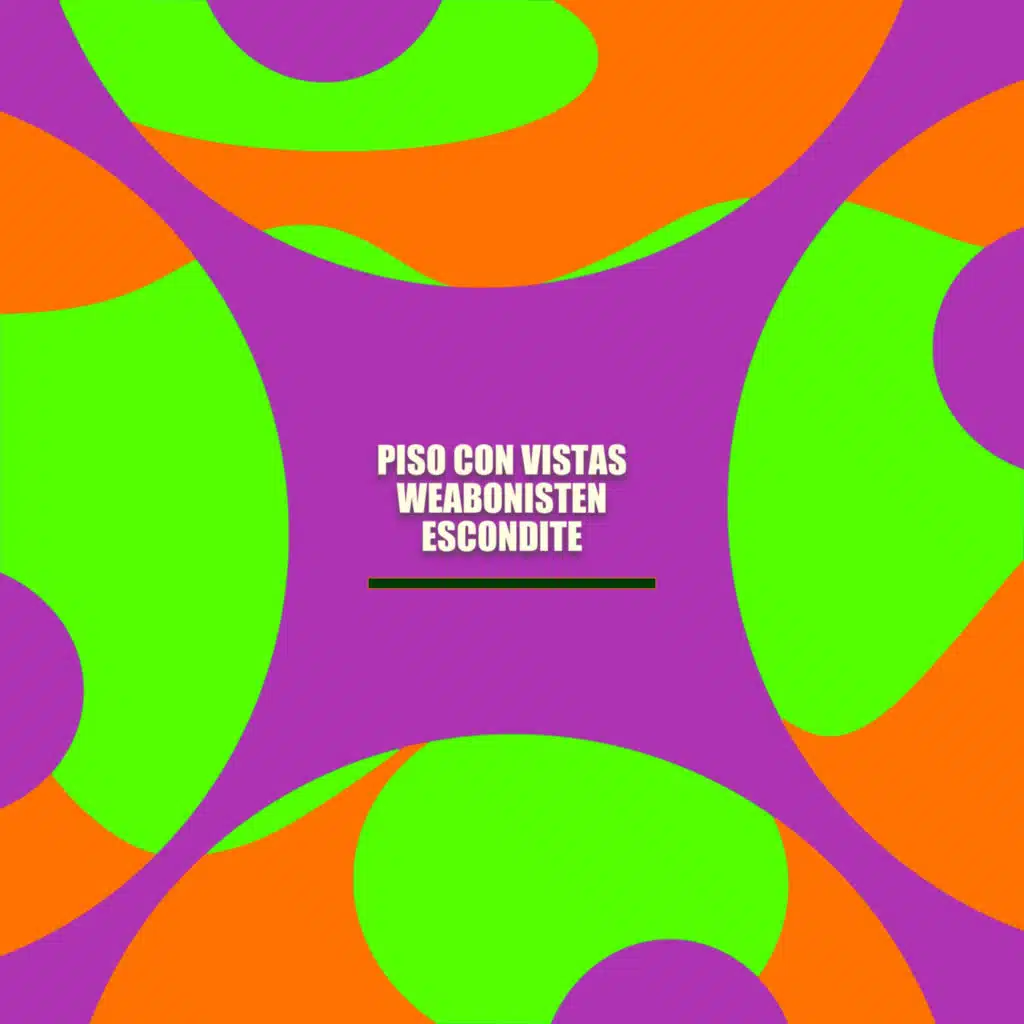Piso Con Vistas & Weabonisten
