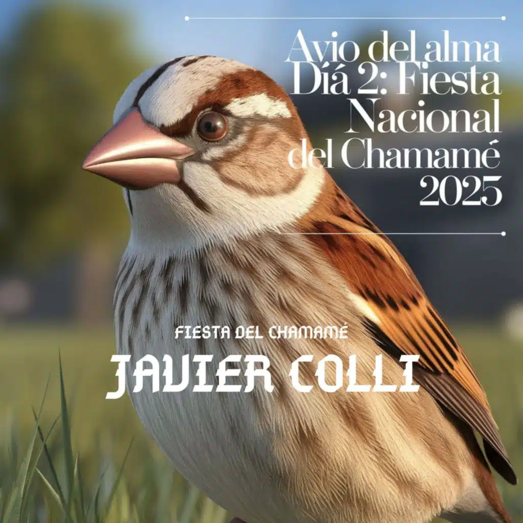 Javier Colli