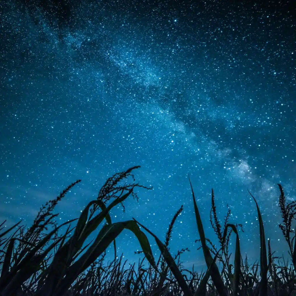 Tranquil Twilight: Calm Sounds for Nighttime Calm