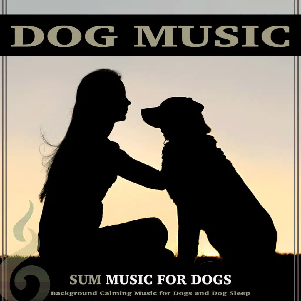 Some Sleeping Music For Dogs