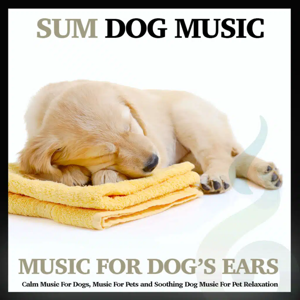 Relaxing Guitar Music For Pets