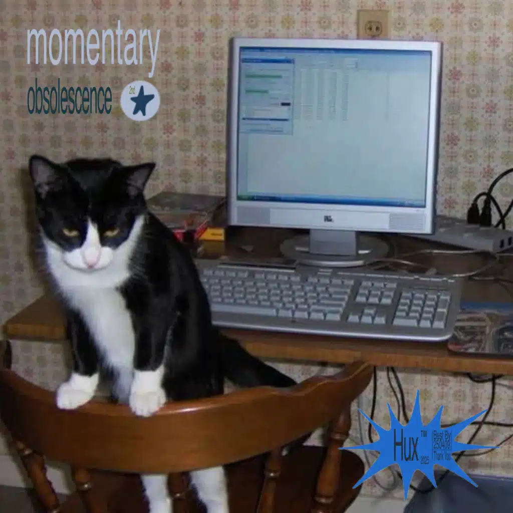 momentary obsolescence